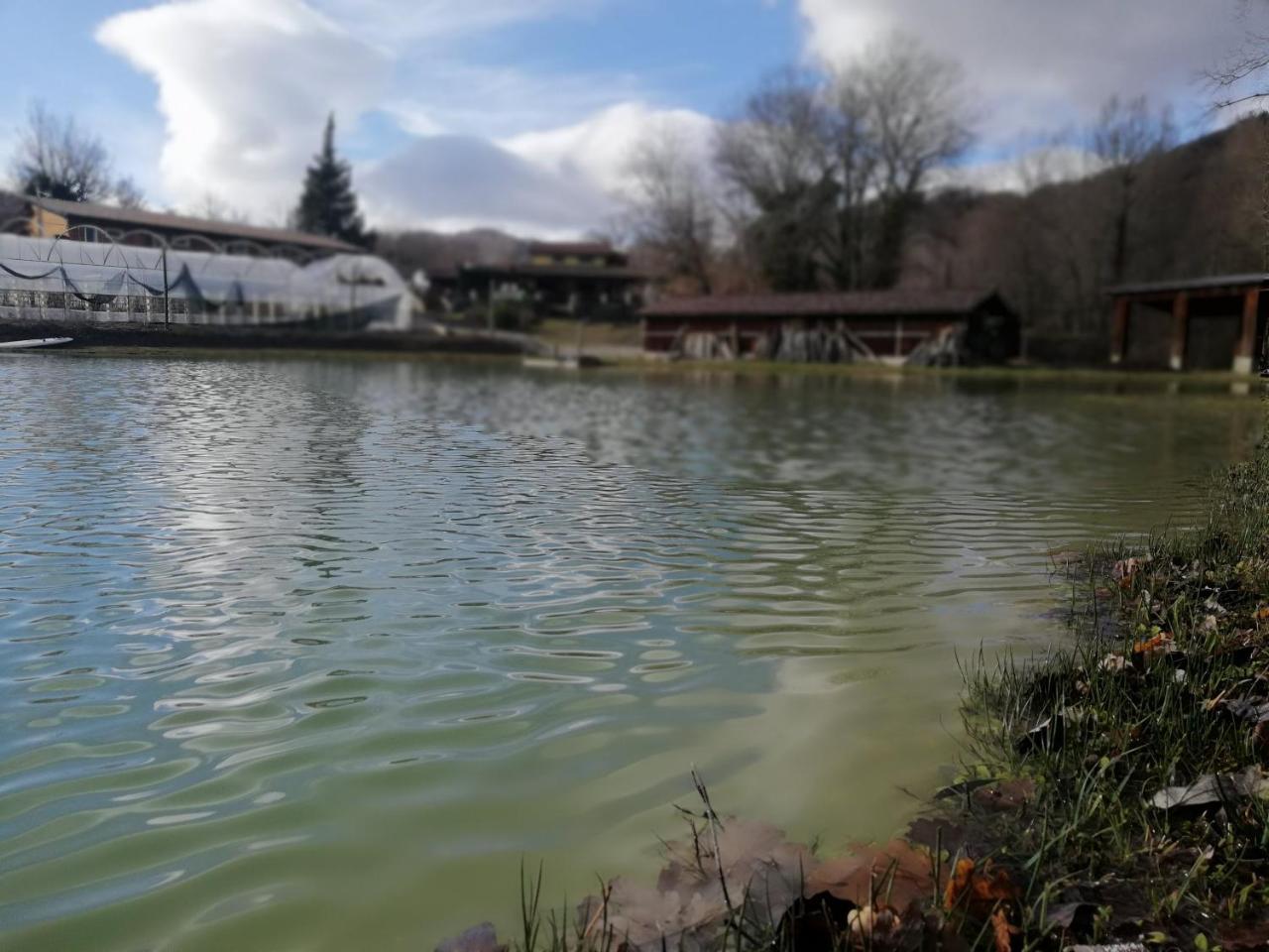 Bioagriturismo Tenuta Montenuovo Ξενοδοχείο Calvera Εξωτερικό φωτογραφία